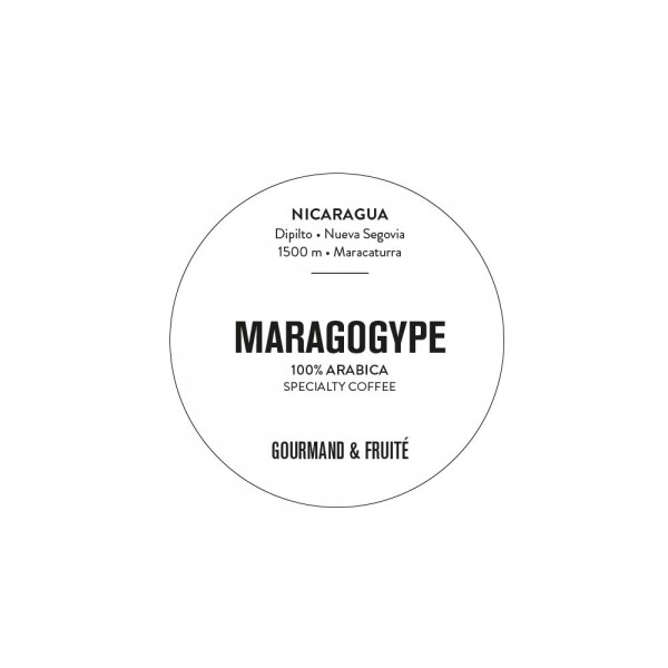 Café Maragogype