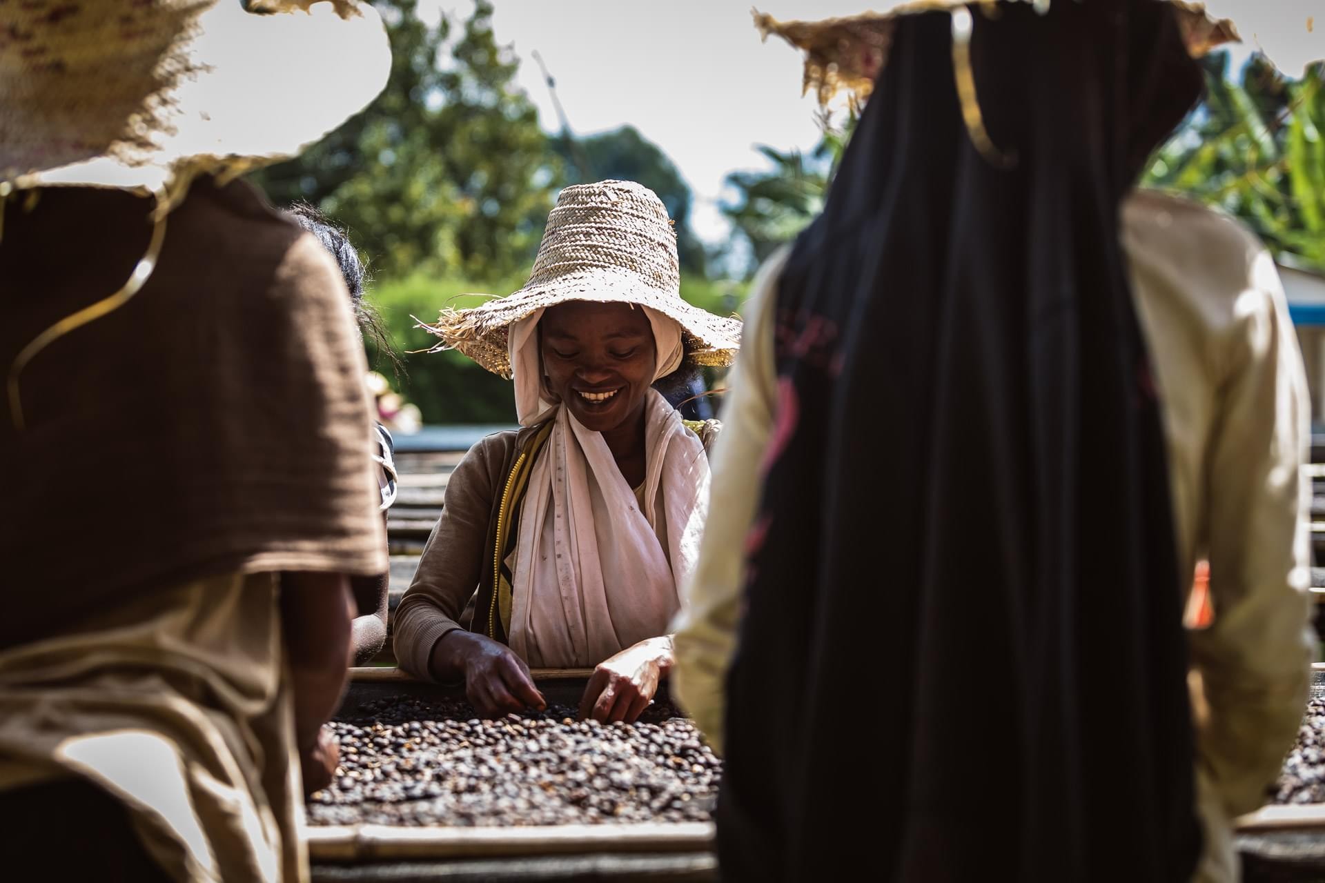 Ethiopie Sidamo - Yirgacheffe